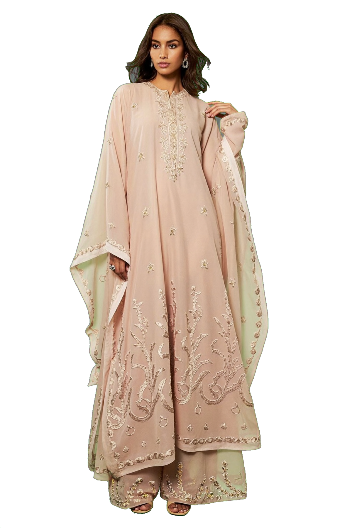 ARAAF Blush Mehr kaftan model transparent cutout