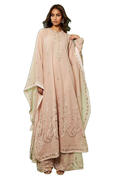 ARAAF Blush Mehr kaftan model transparent cutout